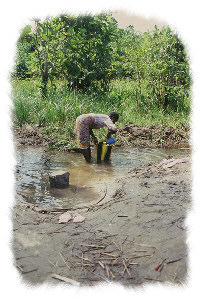 Horton Farm, Liberia Refugee Camp