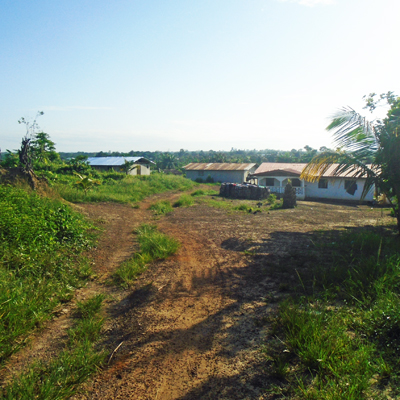 Overview of IGO Kpanay Town