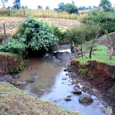 Contaminated water source