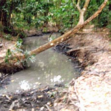 Old Contaminated Water Source