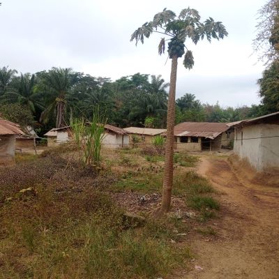 This is Banama village