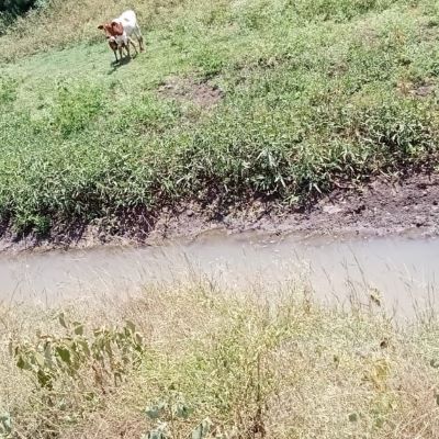 Old water source 