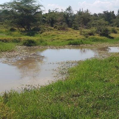 Old water source 