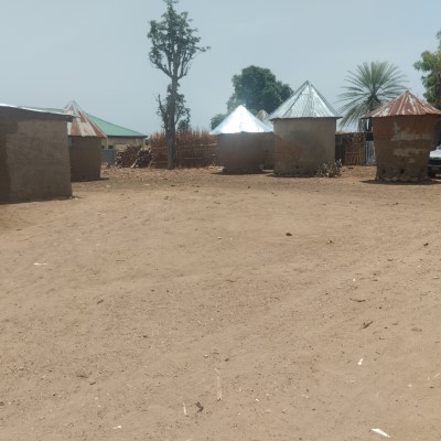 Community Overview