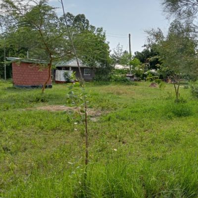 A view of Kamisa Women Group community 