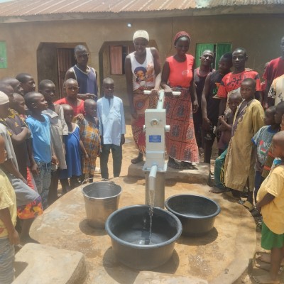 Rehabilitated Pump
