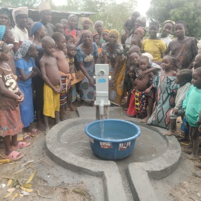 Rehabilitated Pump