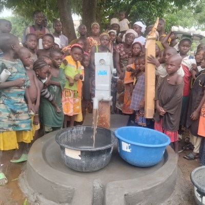 Rehabilitated Pump