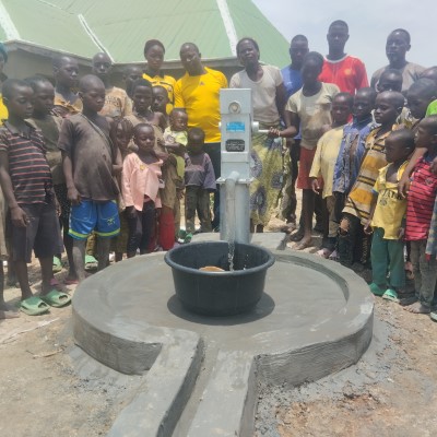 Rehabilitated Pump
