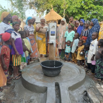 Rehabilitated Pump