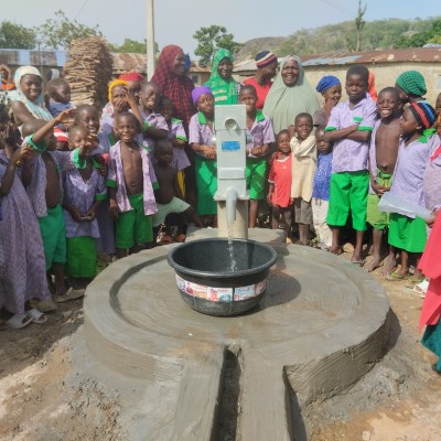Rehabilitated Pump