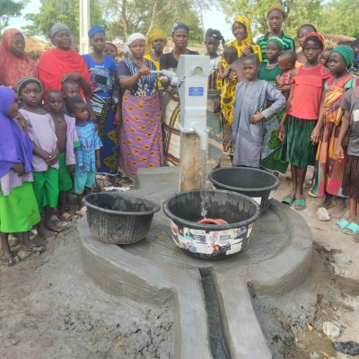 Rehabilitated Pump