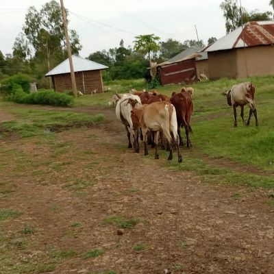 This is a view of Kasang'any Primary School community 