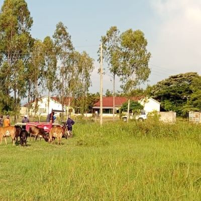 This is a view of Kinasia community