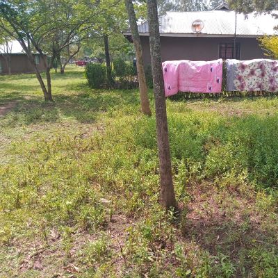 A view of Kocholla community