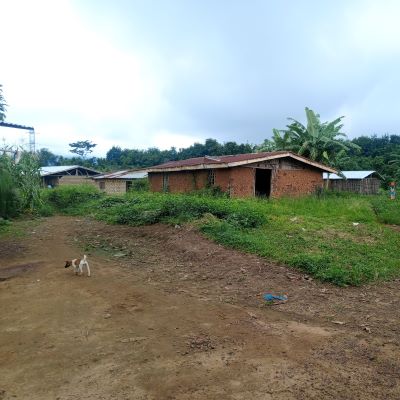 This is a view of Suakarzu community
