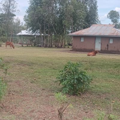 This is a view of Odongoer village 