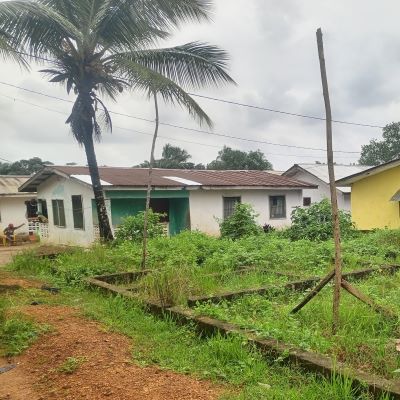 Community of PepperWulu