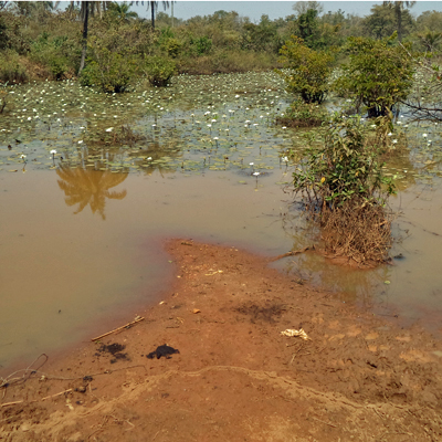Contaminated Water