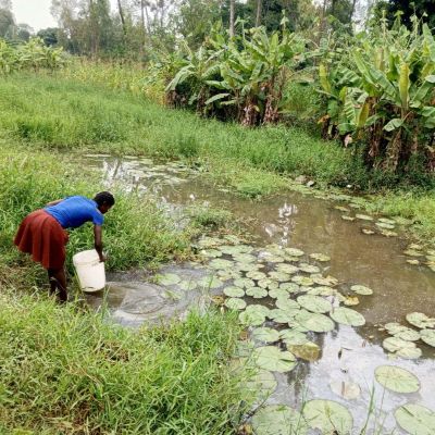 Alternative water source 