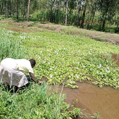 Community's alternative water source 