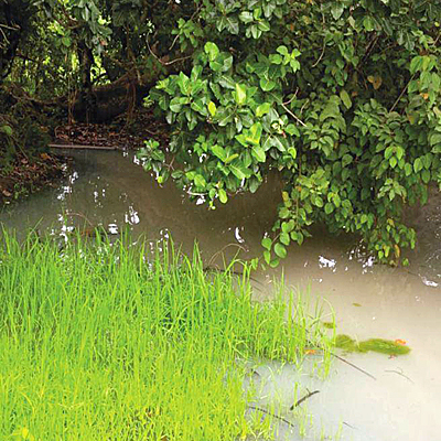 Old Water Source