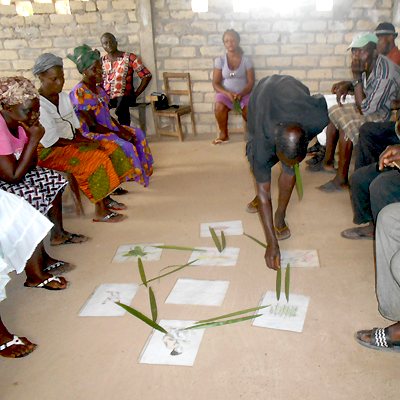 Health & Hygiene Workshop demo