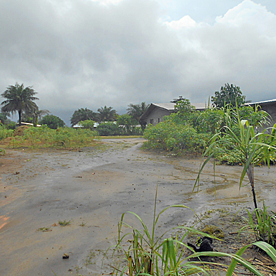 Overview of Village