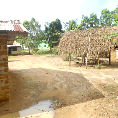 Village Overview