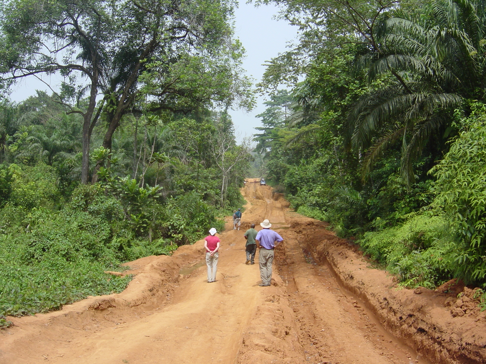 Example of upcountry road the loaded truck goes on