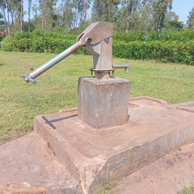 Community well