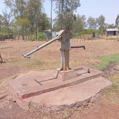 Community well