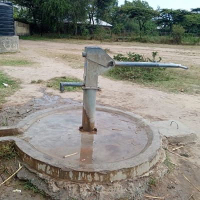 Community well