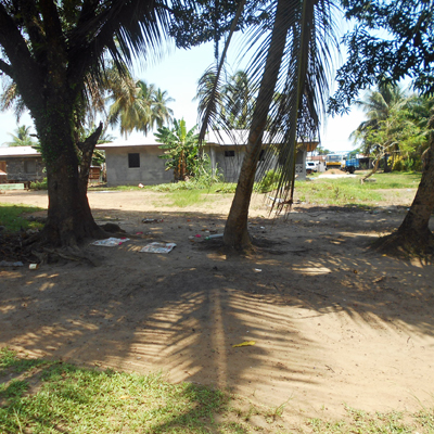 Overview of Dark Forest