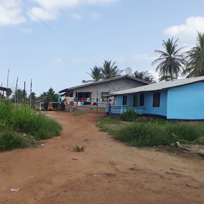 Overview of Dark Forest