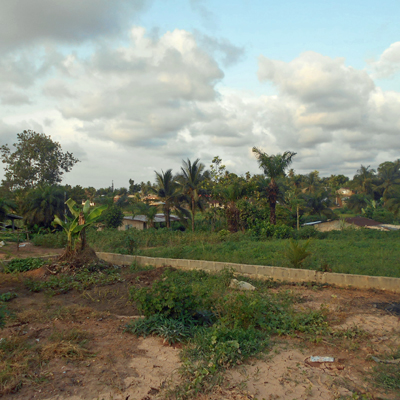 Overview of Peace Community