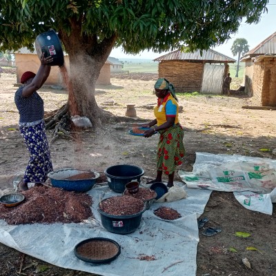 Women from the Community 