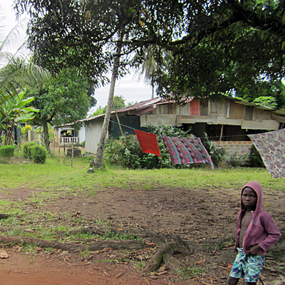 Overview of Sugar Hill Community