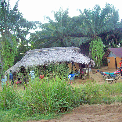 Village Overview