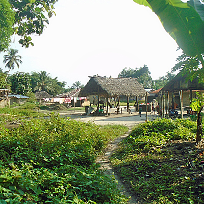 Village Overview
