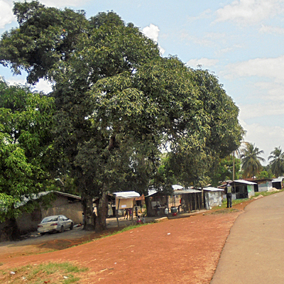 Village Overview