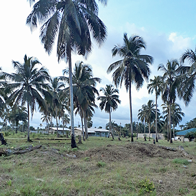 Village Overview