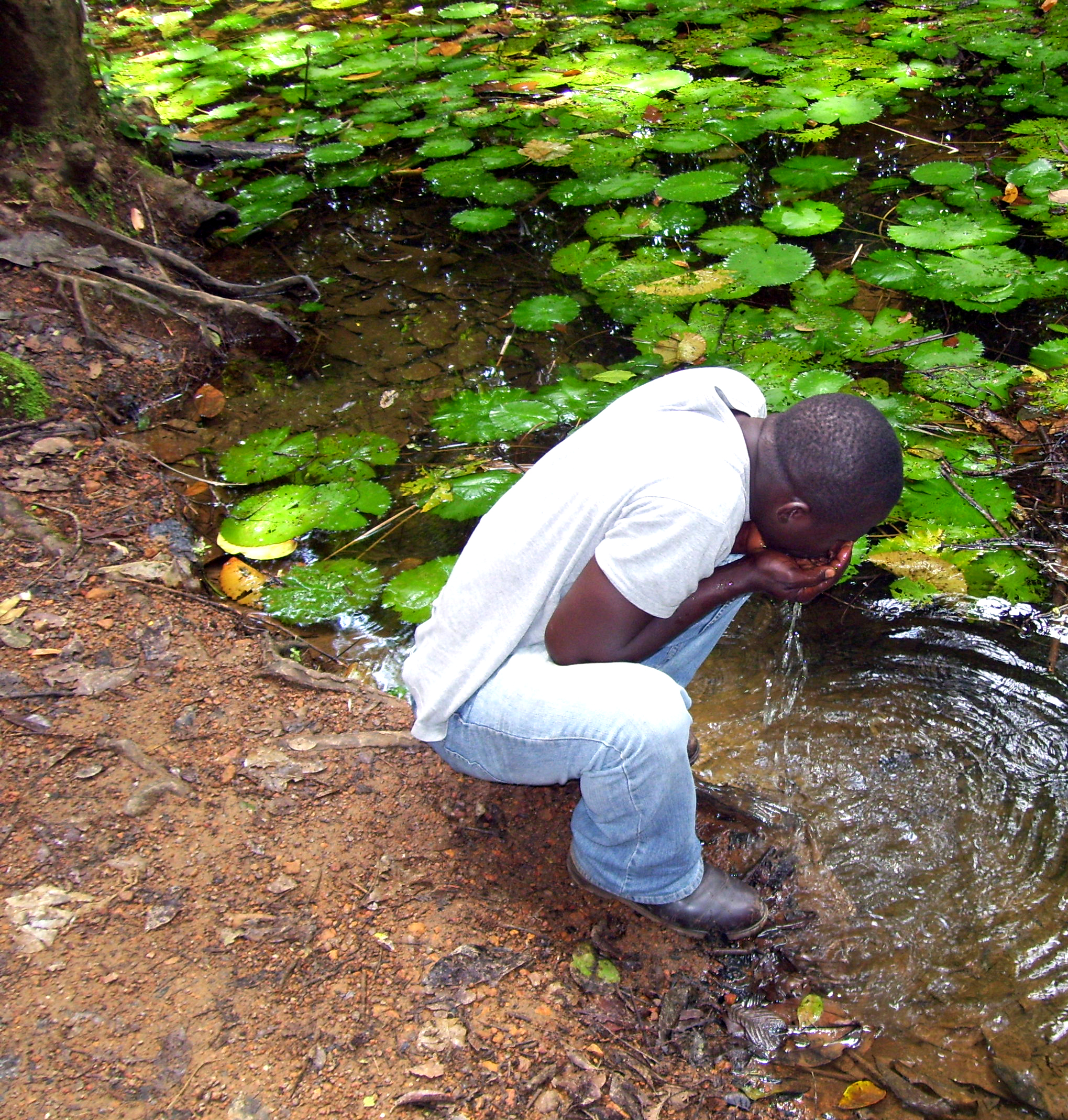 Drinking from Old Water Source