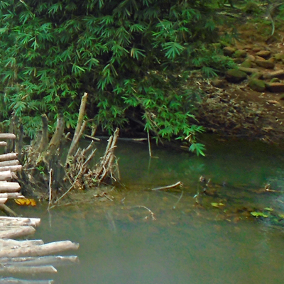 Old Water Source