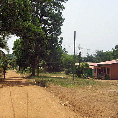 Overview of community