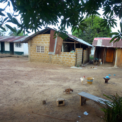 Village Overview