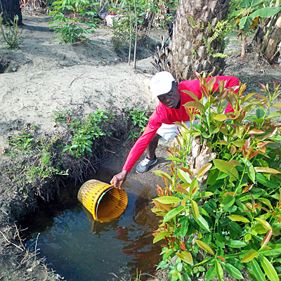 Old swamp water drinking source