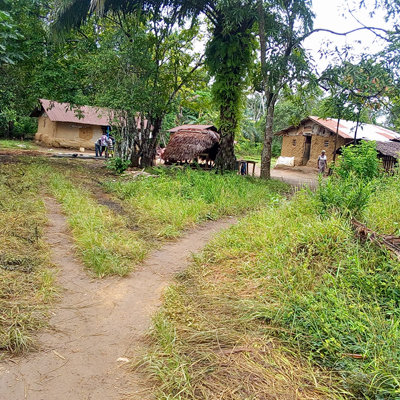 Village Overview