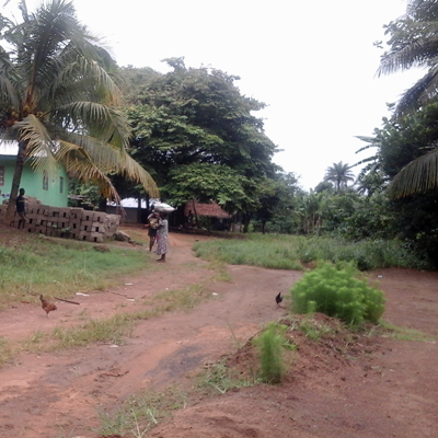 Village Overview