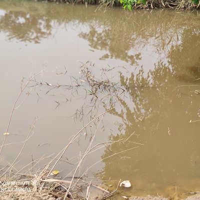 Alternate water source